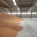 Safeguarding Seed Viability: Effective Strategies Against Storage Pests