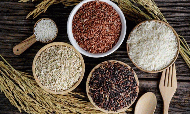 Chinese Scientists Develop Heart-Healthy Rice with Coenzyme Q10