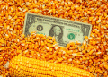 Global Grain Supplies Tighten: Navigating the Impact on Agriculture