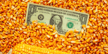 Global Grain Supplies Tighten: Navigating the Impact on Agriculture