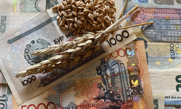 Kazakhstan’s Wheat Outlook for 2025: Production, Pricing, and Strategic Considerations