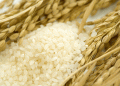 South Korea Develops AI-Powered Rice Supply Prediction System: A Game Changer for Farmers