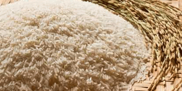 India Resumes Broken Rice Exports: What It Means for Global Markets