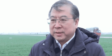Enhancing Wheat Yields in Hebei: Expert Insights and Modern Agricultural Practices