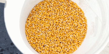 Illinois Farmers Face Uncertainty as U.S.-Mexico Trade Tensions Escalate​