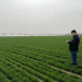 Integrating BeiDou Navigation and Smart Technologies: Transforming Wheat Cultivation in the Guanzhong Plain