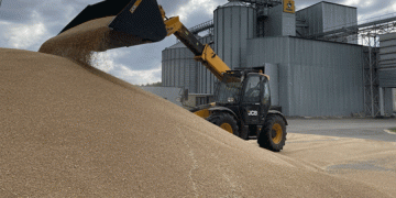 Kazakhstan’s Wheat Prices Surge to $200 After Transport Subsidies: Will the Trend Hold?