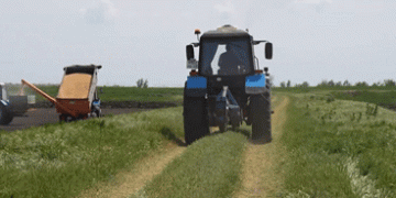 Sowing Independence: How Kuban Farmers Lead Russia in Rice and Wheat Production with Homegrown Seeds