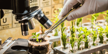 Mandatory Integration of Seed Information into Russia’s ‘Grain’ System: Implications for Agricultural Stakeholders​