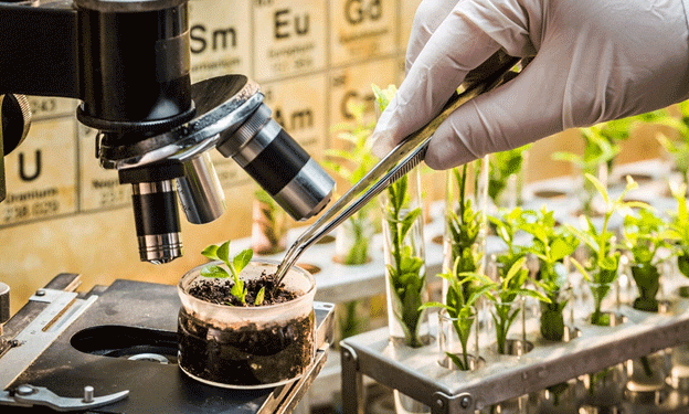 Mandatory Integration of Seed Information into Russia’s ‘Grain’ System: Implications for Agricultural Stakeholders​