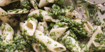 Water Lentils: The Tiny Green Powerhouse Approved by the EU That Could Transform Farming and Food