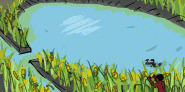 Ancient Amazonians’ Ingenious Farming Techniques: Lessons from the Casarabe Culture​