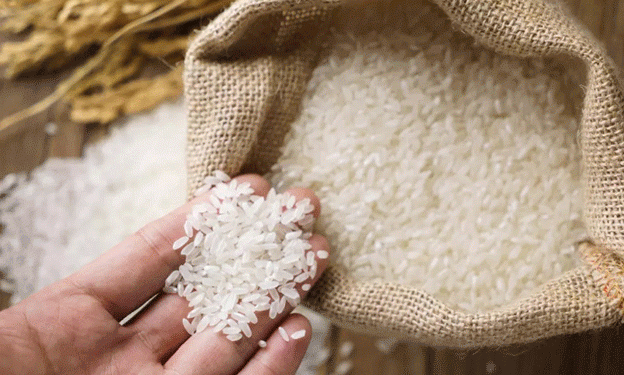 Japan’s First-Ever Rice Reserve Auction: A Bold Move to Stabilize Prices
