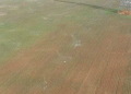 Hebei’s Spring Awakening: Technology Empowering Modern Agriculture​