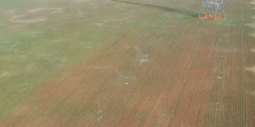 Hebei’s Spring Awakening: Technology Empowering Modern Agriculture​