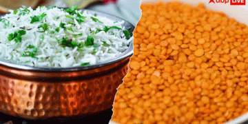 Indian Rice Clears Aflatoxin Test: A Major Boost for Farmers and Exporters