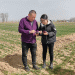 Hebei’s Comprehensive Measures to Safeguard Winter Wheat Growth