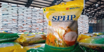 Indonesia Ensures Rice Surplus Amid Global Food Crisis