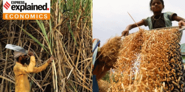 Navigating India’s Food Inflation: The Critical Role of Wheat and Sugar Production