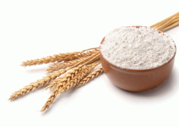 Wheat Protein Ingredient Market: Projected Growth and Emerging Trends Through 2034