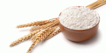 Wheat Protein Ingredient Market: Projected Growth and Emerging Trends Through 2034