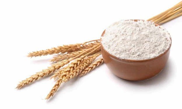 Wheat Protein Ingredient Market: Projected Growth and Emerging Trends Through 2034
