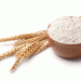 Wheat Protein Ingredient Market: Projected Growth and Emerging Trends Through 2034