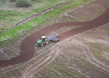 Russian Grain Harvest Forecast: Potential Decline to 120 Million Tons Amidst Adverse Weather Conditions
