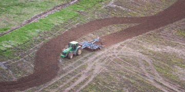 Russian Grain Harvest Forecast: Potential Decline to 120 Million Tons Amidst Adverse Weather Conditions