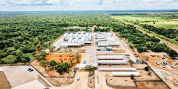 Bayer’s New Maize Seed Facility in Zambia: A Game-Changer for African Food Security and Smallholder Farming