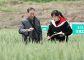 Grains of Legacy: How Wheat Breeder Xing Guofeng is Reviving Wheat Farming in Sichuan’s Mountain Valleys