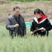 Grains of Legacy: How Wheat Breeder Xing Guofeng is Reviving Wheat Farming in Sichuan’s Mountain Valleys