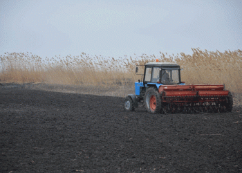 Spring Sowing in Yakovlevsky District: Progress and Prospects for 2025