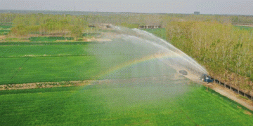 Smart Irrigation in Action: How Haizhou’s High-Tech Wheat Fields Are Defeating Drought