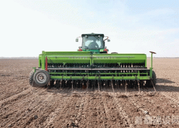 From Field to Flour: How Shuanghe Farm is Building a Modern Wheat-to-Table Model in China