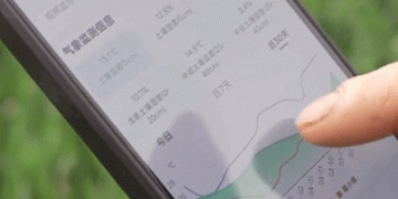 Farming with AI: How One App Is Revolutionizing Wheat Production in North China