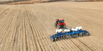 Primorsky Farmers Triple Corn and Rice Sowing Rates: A Promising Start to the 2025 Season