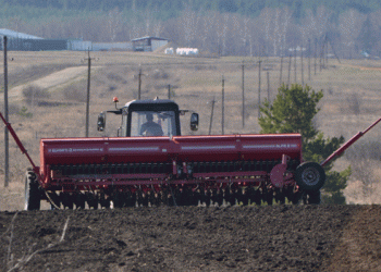 Spring Sowing Kicks Off in Sapozhkovsky District: Barley, Peas, and Sunflowers in Focus
