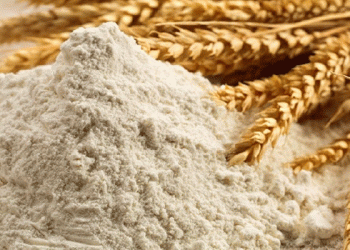 Mozambique’s Wheat Supply at Risk: Foreign Currency Shortage Threatens Food Security