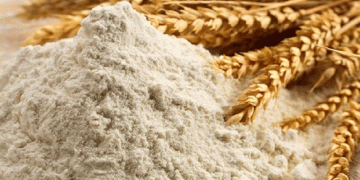 Mozambique’s Wheat Supply at Risk: Foreign Currency Shortage Threatens Food Security