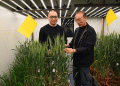 Cracking the Genetic Code of Wheat Disease Resistance: Inside China’s 5-Year Breakthrough