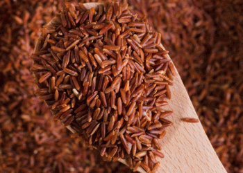 Brown Rice vs. White Rice: Is the Healthier Choice Actually More Dangerous?