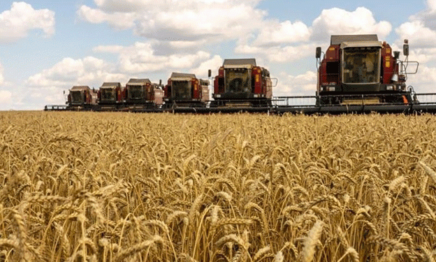 Morocco Strengthens Its Role as a Strategic Grain Importer in 2024/2025: What It Means for Global Agriculture