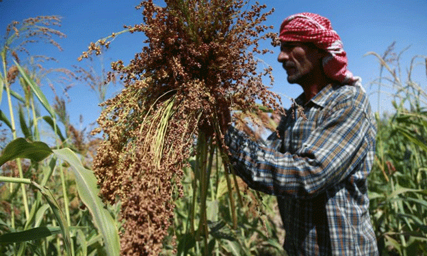 First Wheat Shipment to Syria Marks Economic Reawakening After Assad’s Fall