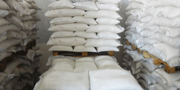 Japan’s Rice Crisis: Government Auctions Reserves Amid Soaring Prices