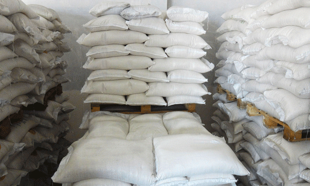 Japan’s Rice Crisis: Government Auctions Reserves Amid Soaring Prices