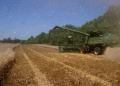 From Breadbasket to Battleground: The Decline of U.S. Grain Export Dominance