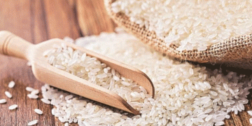 Rice, Tariffs, and Trust: Why Japan Questions U.S. Intentions to Expand Rice Exports