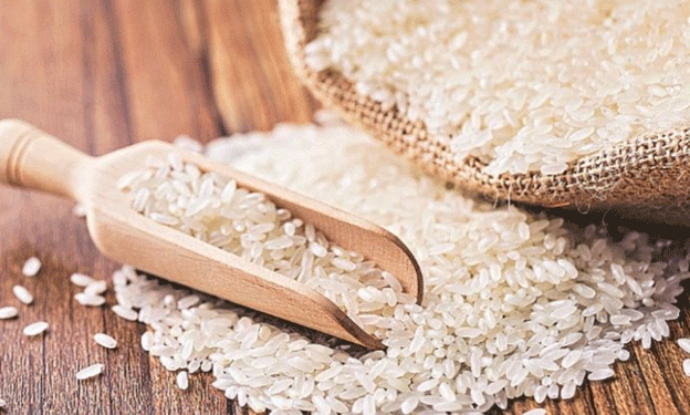 Rice, Tariffs, and Trust: Why Japan Questions U.S. Intentions to Expand Rice Exports