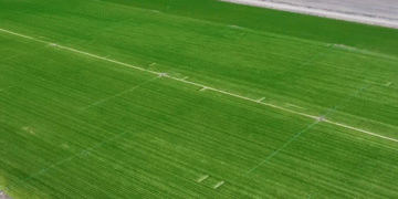 Precision in the Green: How Xinjiang’s 1.48 Million Mu of Winter Wheat Are Being Boosted by Drones and Smart Agronomy